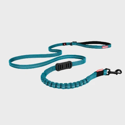 Teal dog leash with black clip on a white background