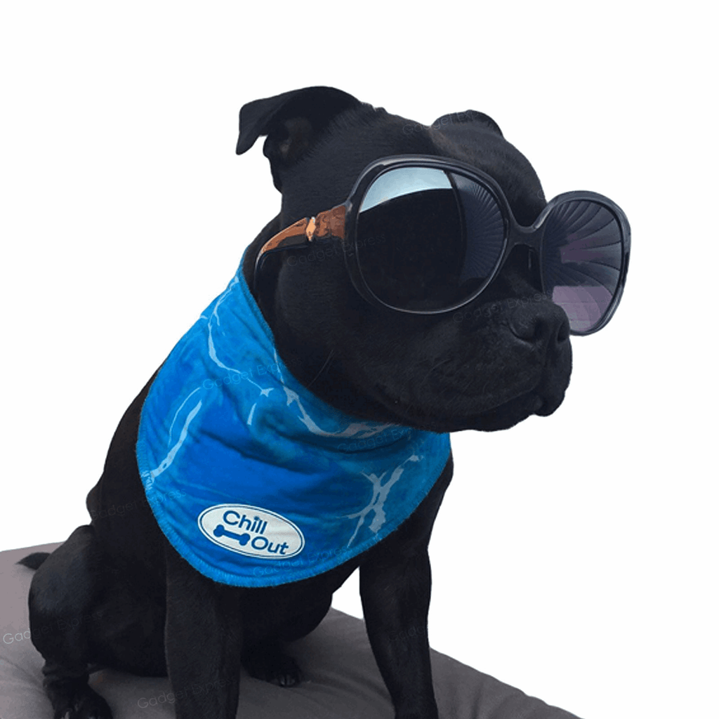 AFP Chill Out Bandana - Slickers ◊ Doghouse