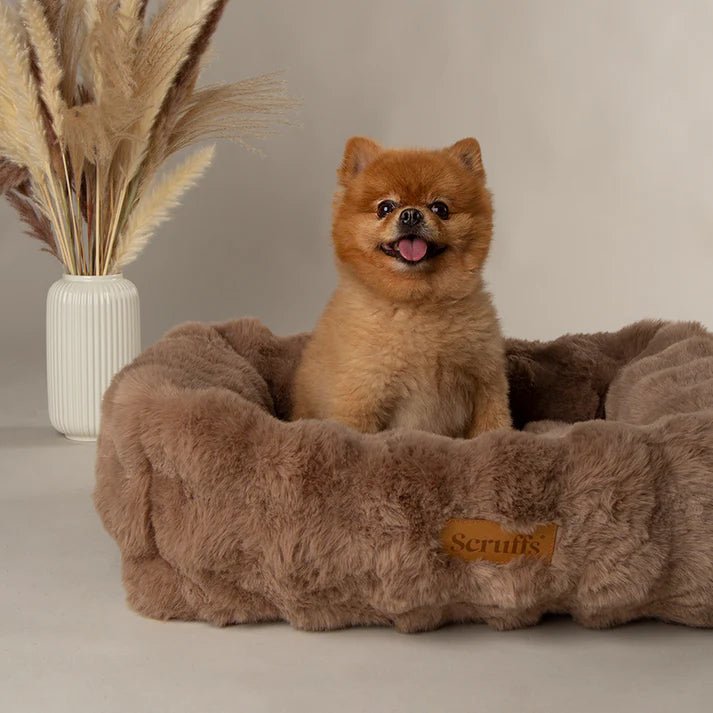 Alpine Box Bed Taupe - Slickers ◊ Doghouse