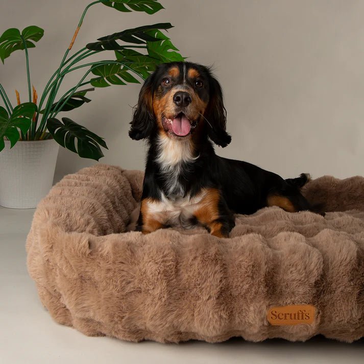 Alpine Box Bed Taupe - Slickers ◊ Doghouse