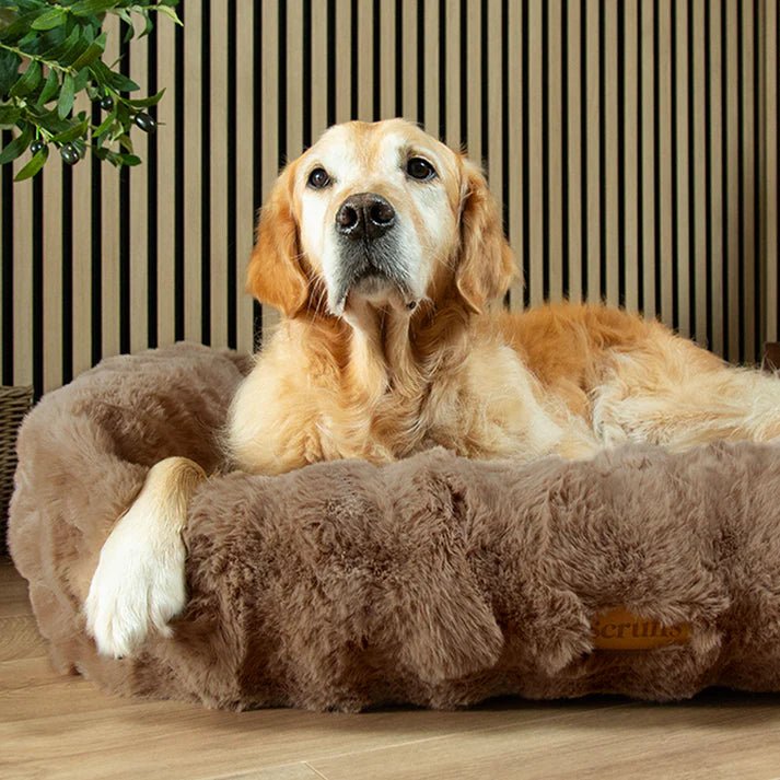 Alpine Box Bed Taupe - Slickers ◊ Doghouse