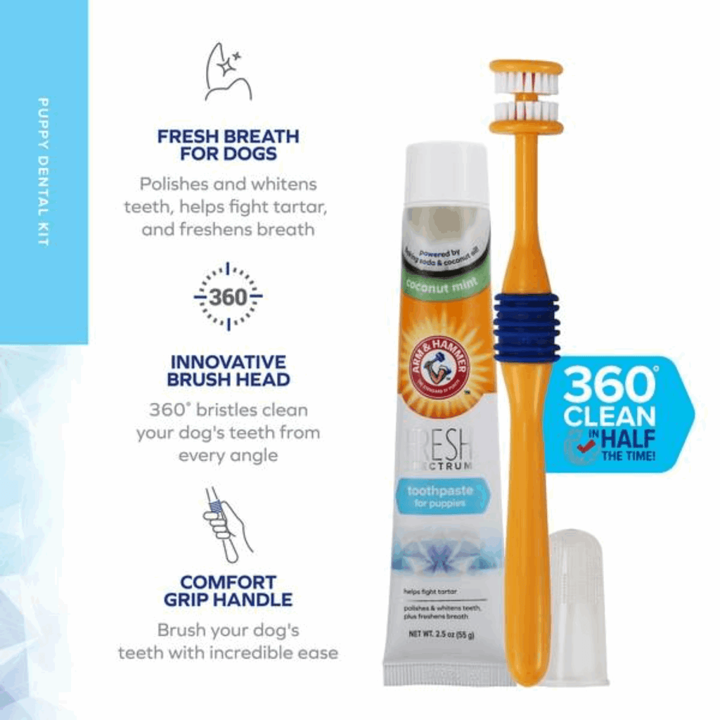 Arm & Hammer Fresh Coconut Dental Kit for Puppies - Slickers ◊ Doghouse