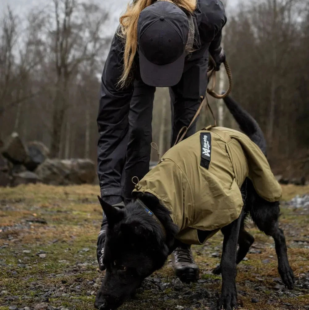 Person bending down next to a dog wearing a raincoat in a forest setting