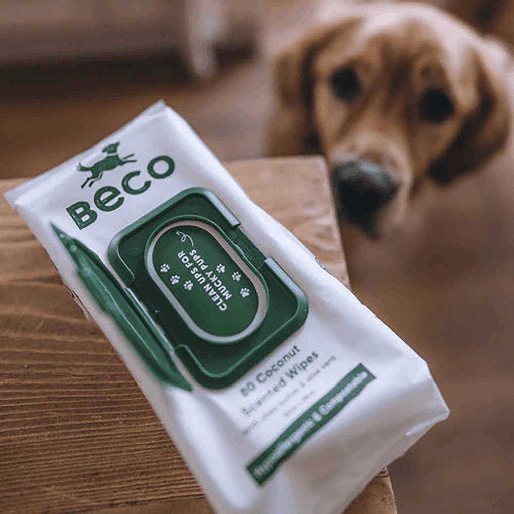 Bamboo Dog Wipes | Coconut Scented 80 Pack - Slickers ◊ Doghouse