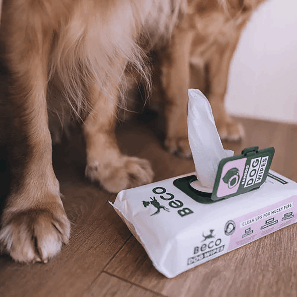 Bamboo Dog Wipes | Coconut Scented 80 Pack - Slickers ◊ Doghouse