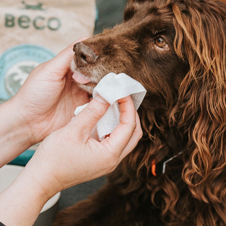 Bamboo Travel Wipes 20 - Slickers ◊ Doghouse