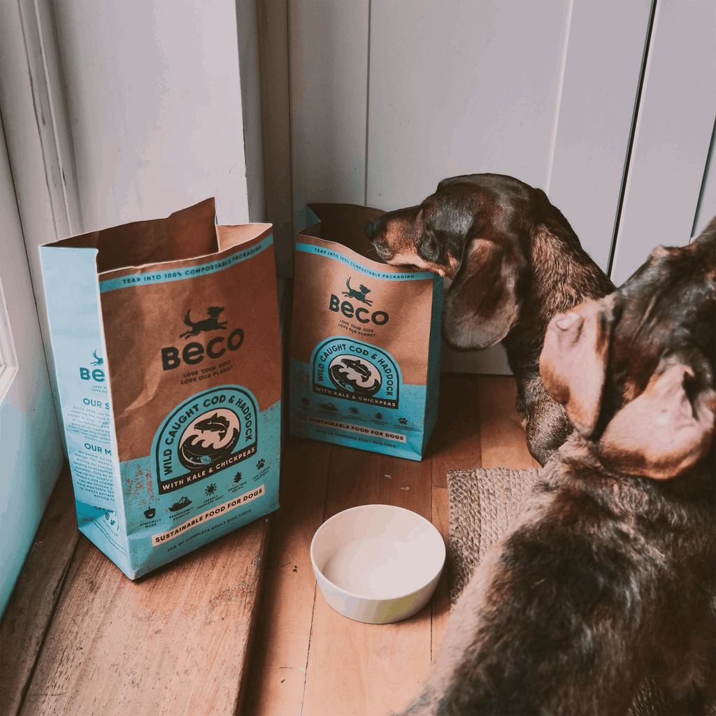 Beco Wild Caught Cod & Haddock with Kale & Chickpeas Dry Adult Dog Food - Slickers ‚óä Doghouse