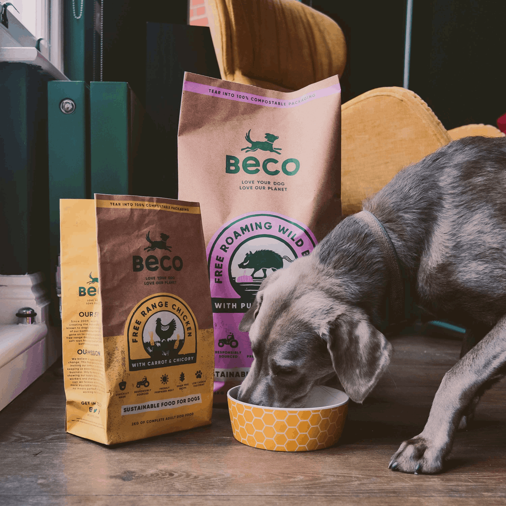 Beco Free Range Chicken with Carrot & Chicory Dry Adult Dog Food - Slickers ◊ Doghouse