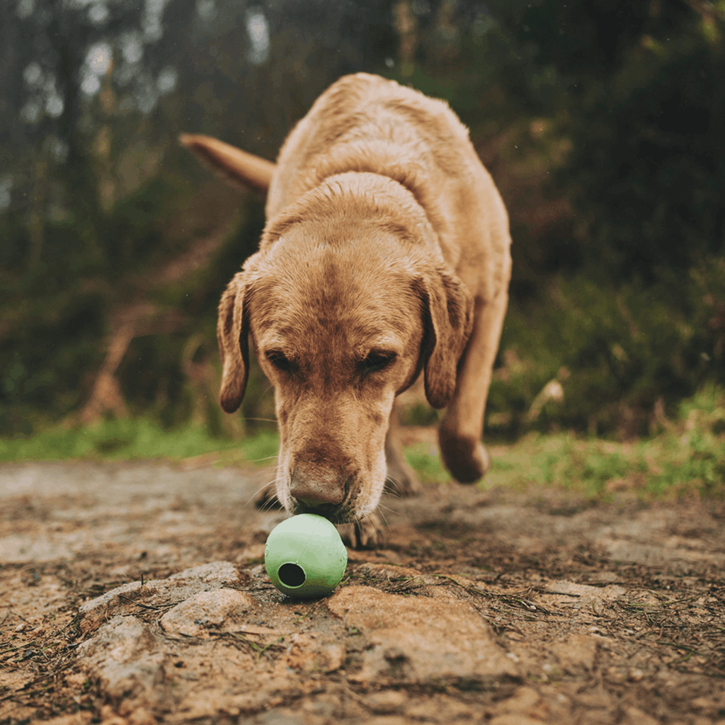 Beco Rubber Toys Beco Natural Rubber Ball