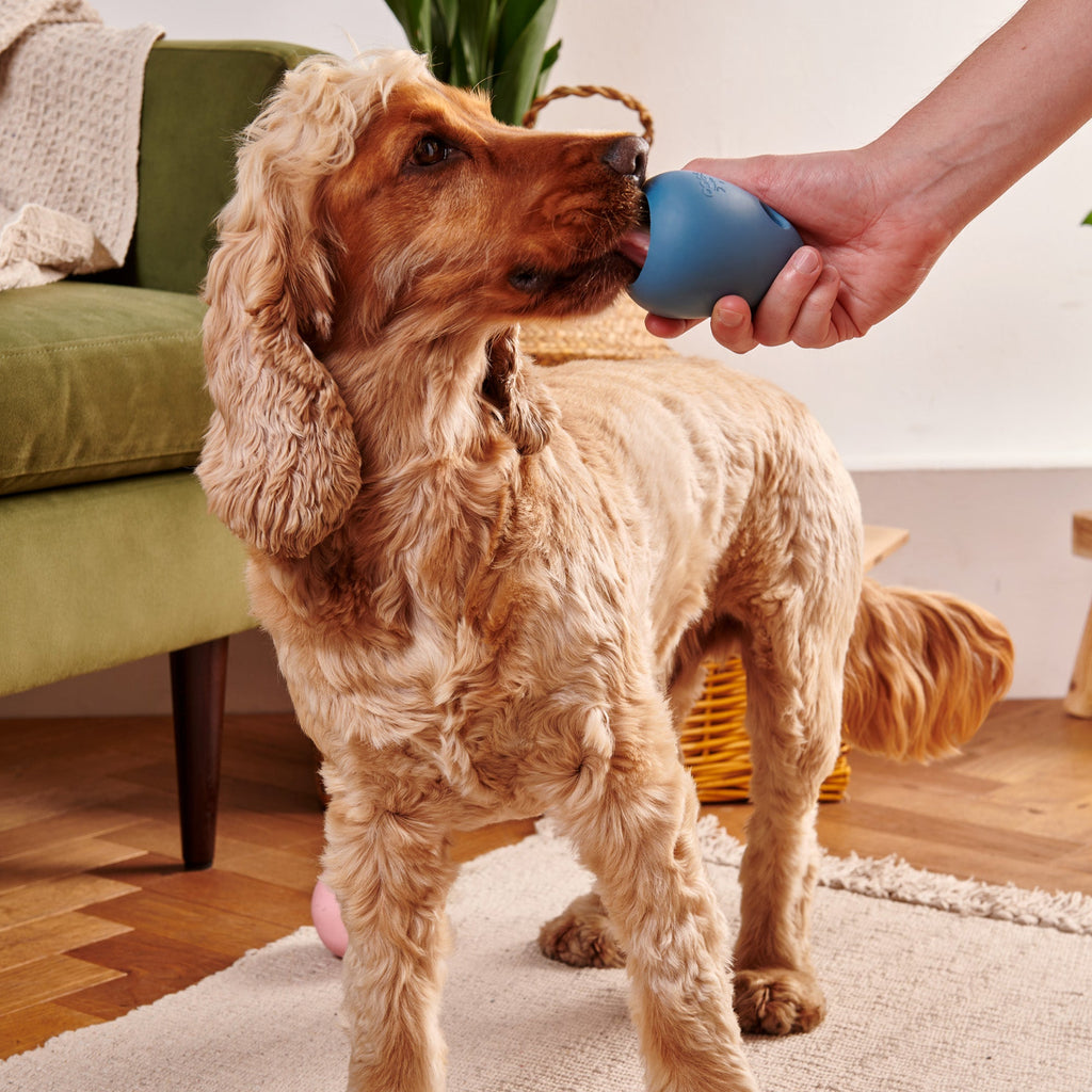 Natural Rubber Boredom Buster - Slickers ‚óä Doghouse
