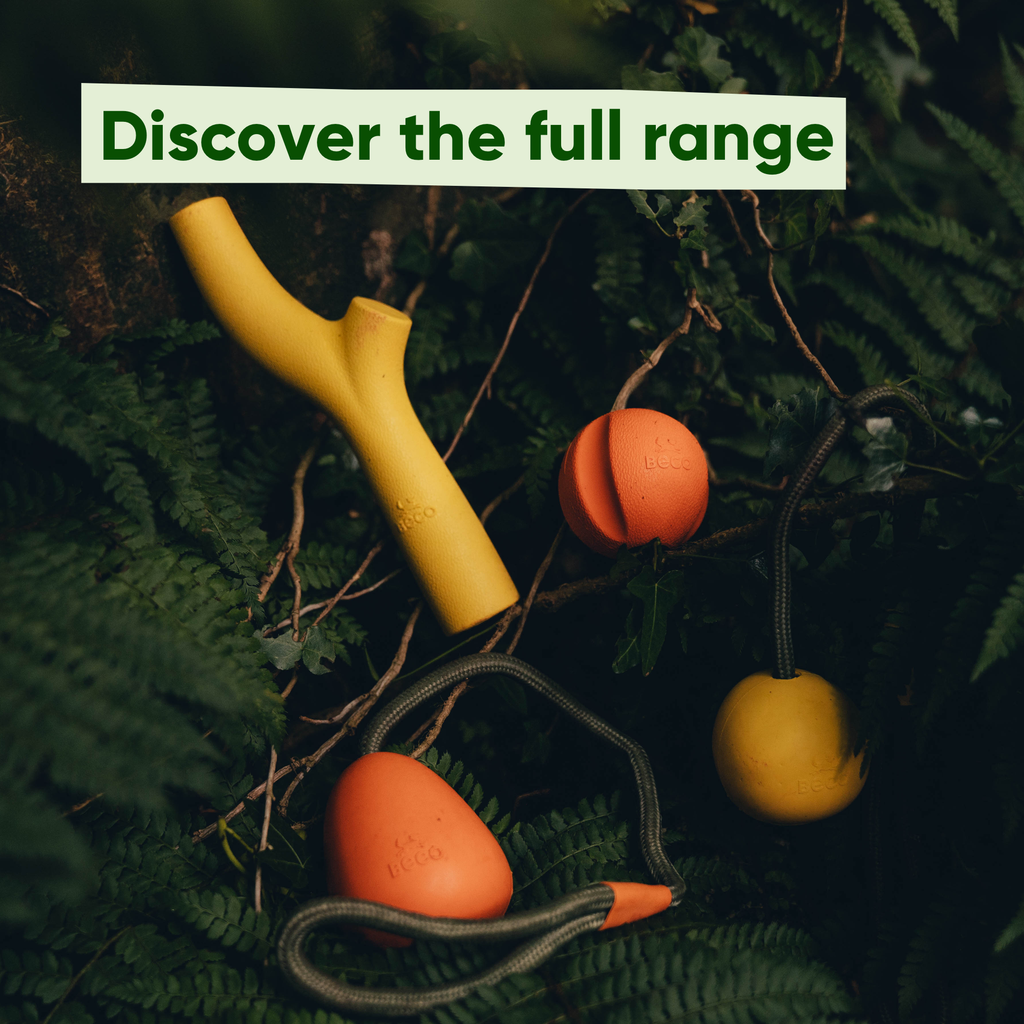 Natural Rubber Fetch Ball - Slickers ‚óä Doghouse