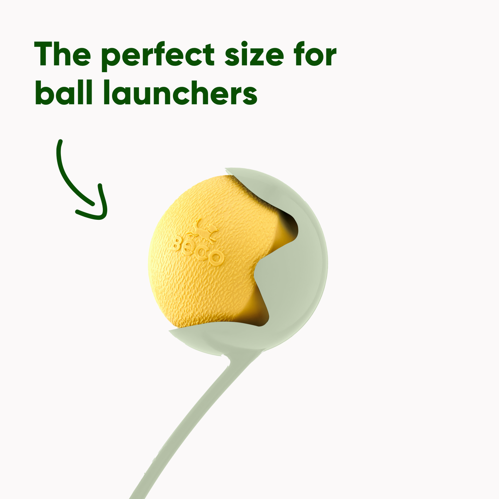 Natural Rubber Fetch Ball - Slickers ‚óä Doghouse