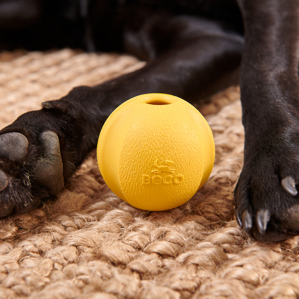 Natural Rubber Fetch Ball - Slickers ‚óä Doghouse