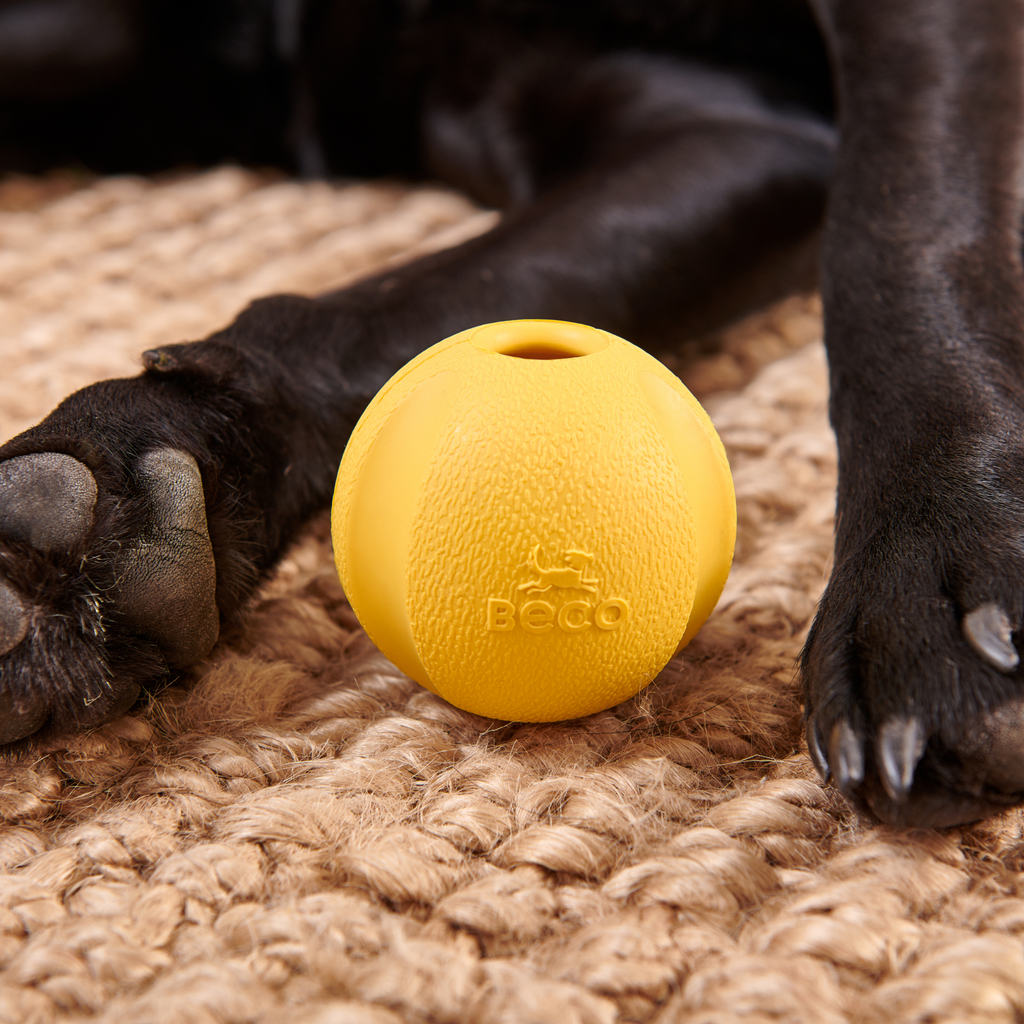 Beco Rubber Toys Natural Rubber Fetch Ball