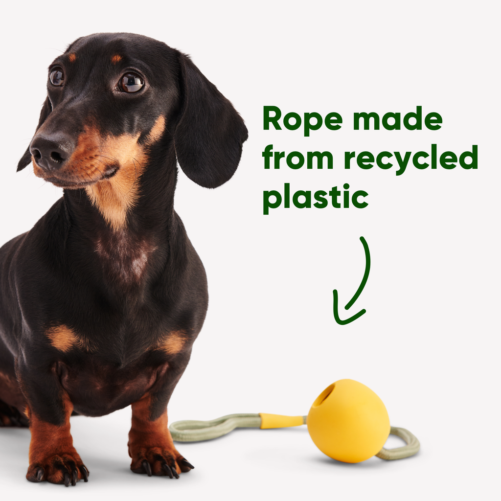 Natural Rubber Slinger Ball - Slickers ‚óä Doghouse