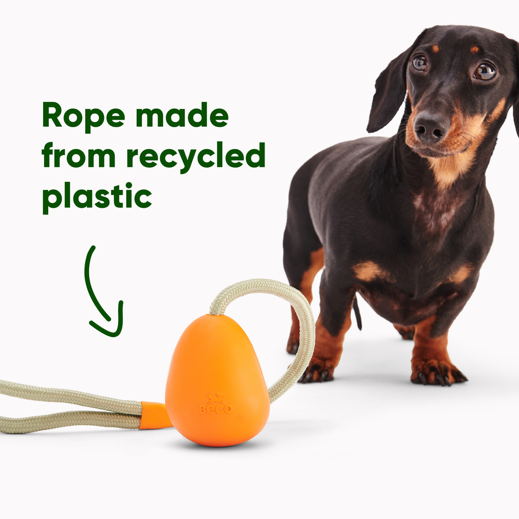 Natural Rubber Slinger Pebble - Slickers ‚óä Doghouse