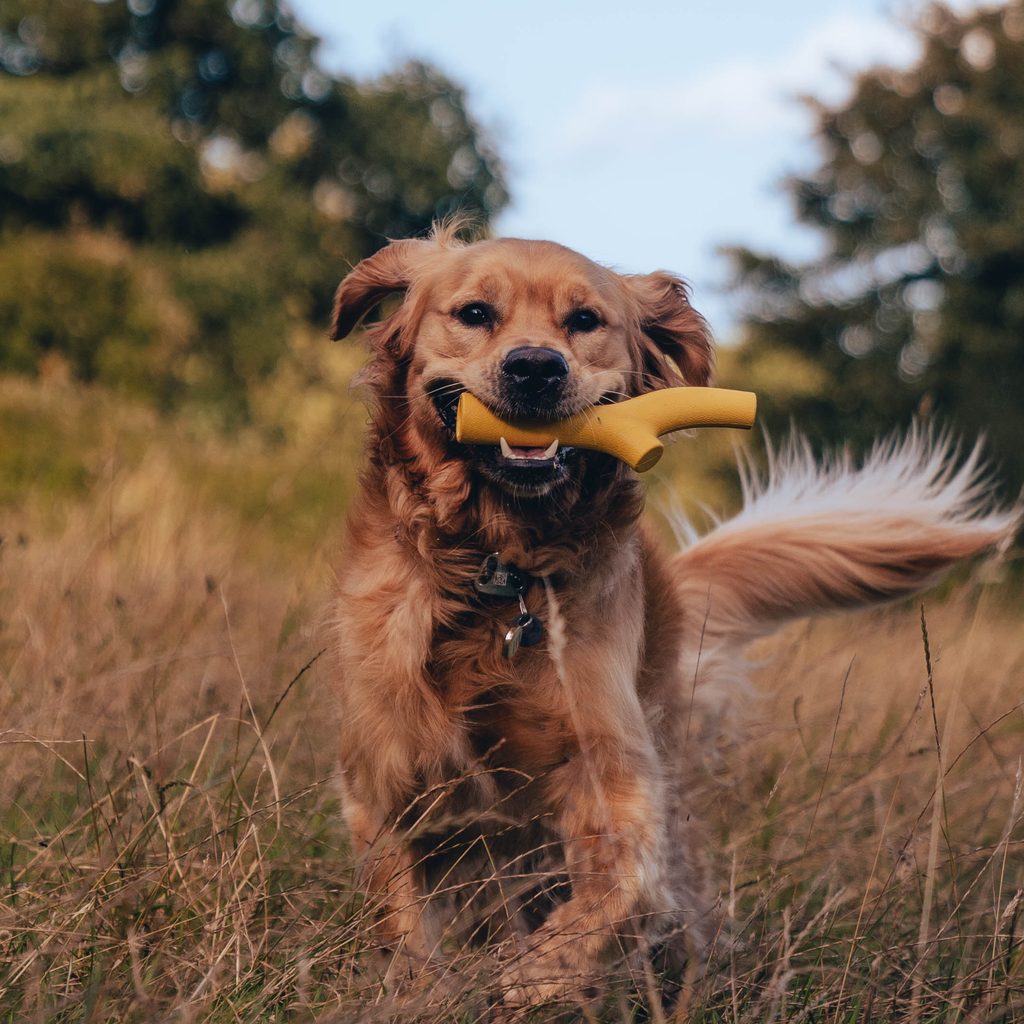 Natural Rubber Super Stick - Slickers ‚óä Doghouse
