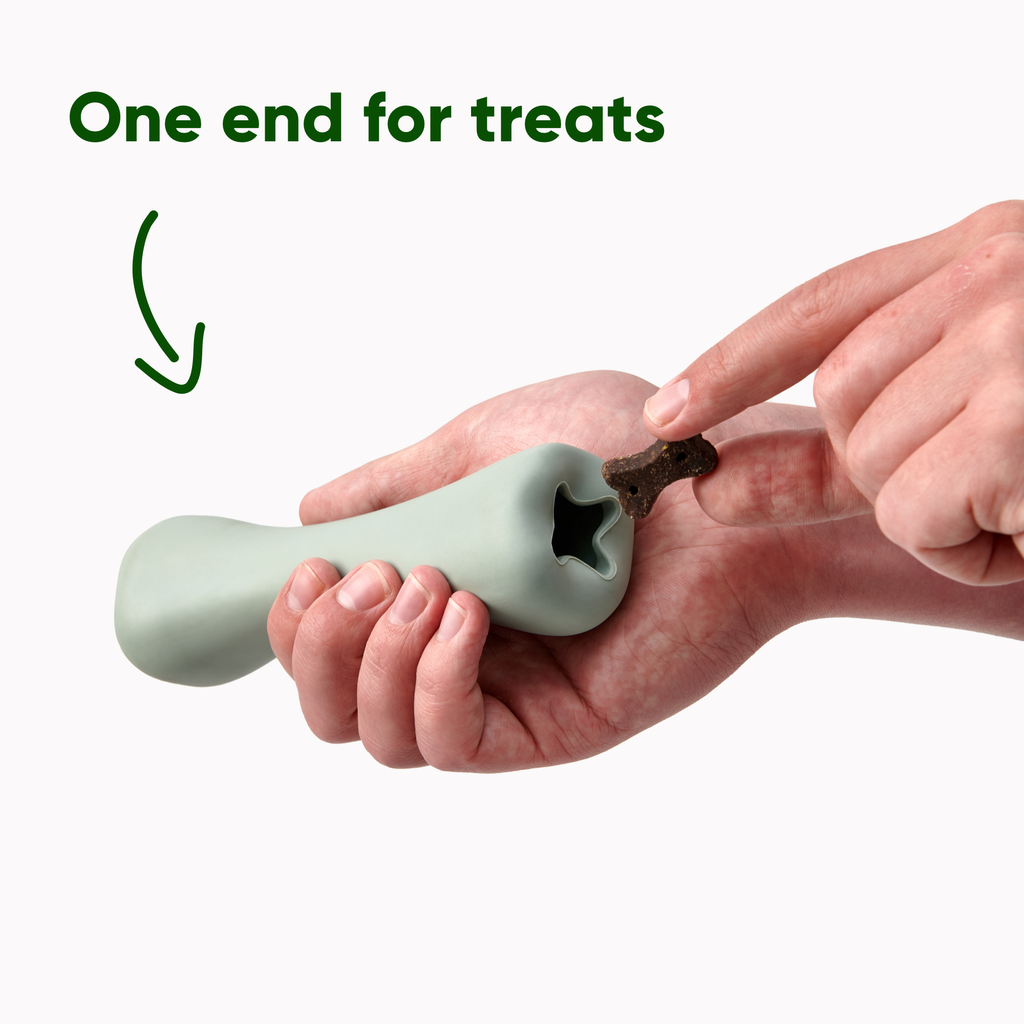 Natural Rubber Treat Bone - Slickers ‚óä Doghouse
