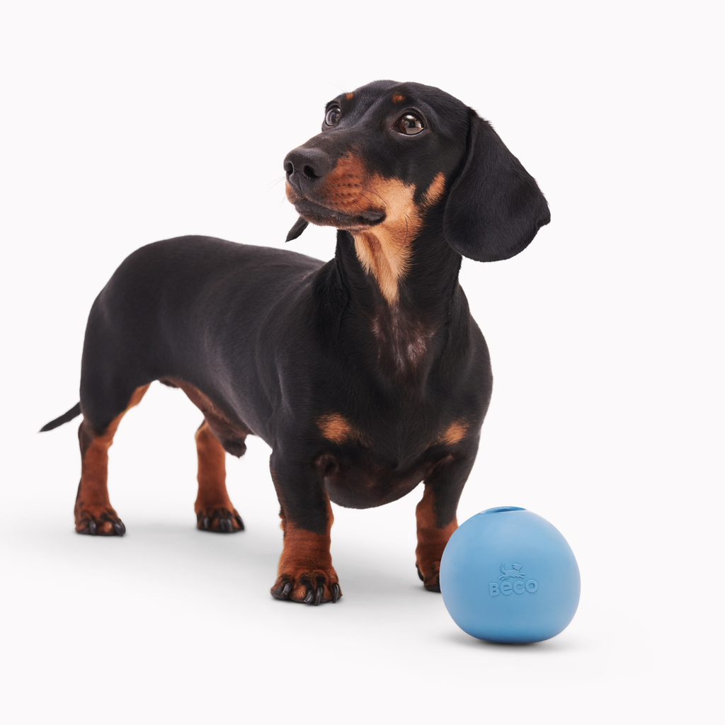 Natural Rubber Wobble Ball - Slickers ‚óä Doghouse