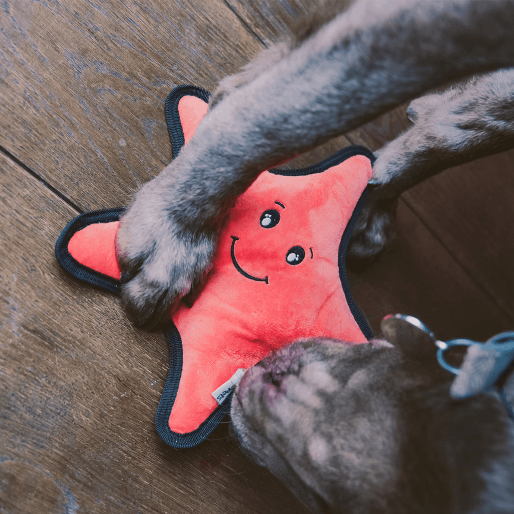 Beco Soft Toys L Beco Rough & Tough Recycled Dog Toy, Starfish