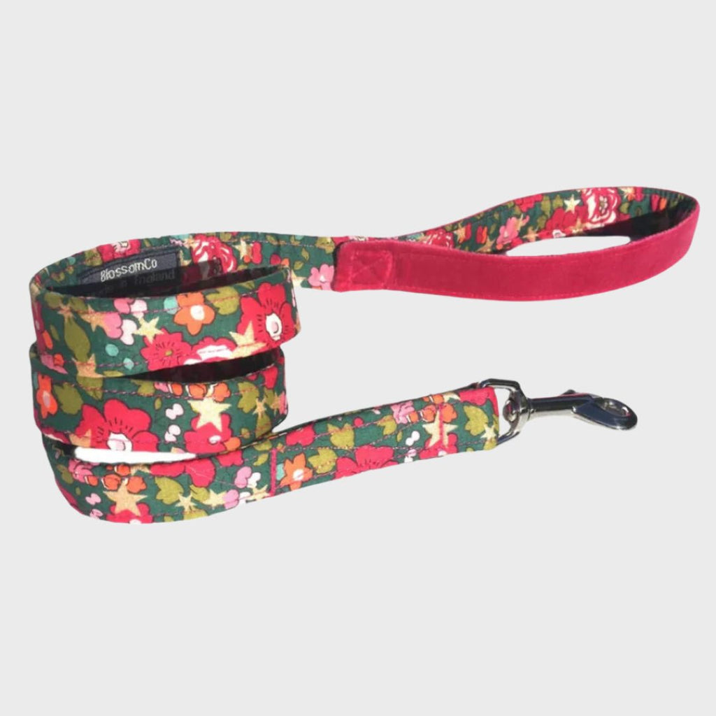 Betsy Star - Liberty Print Christmas Dog Lead - Slickers ◊ Doghouse