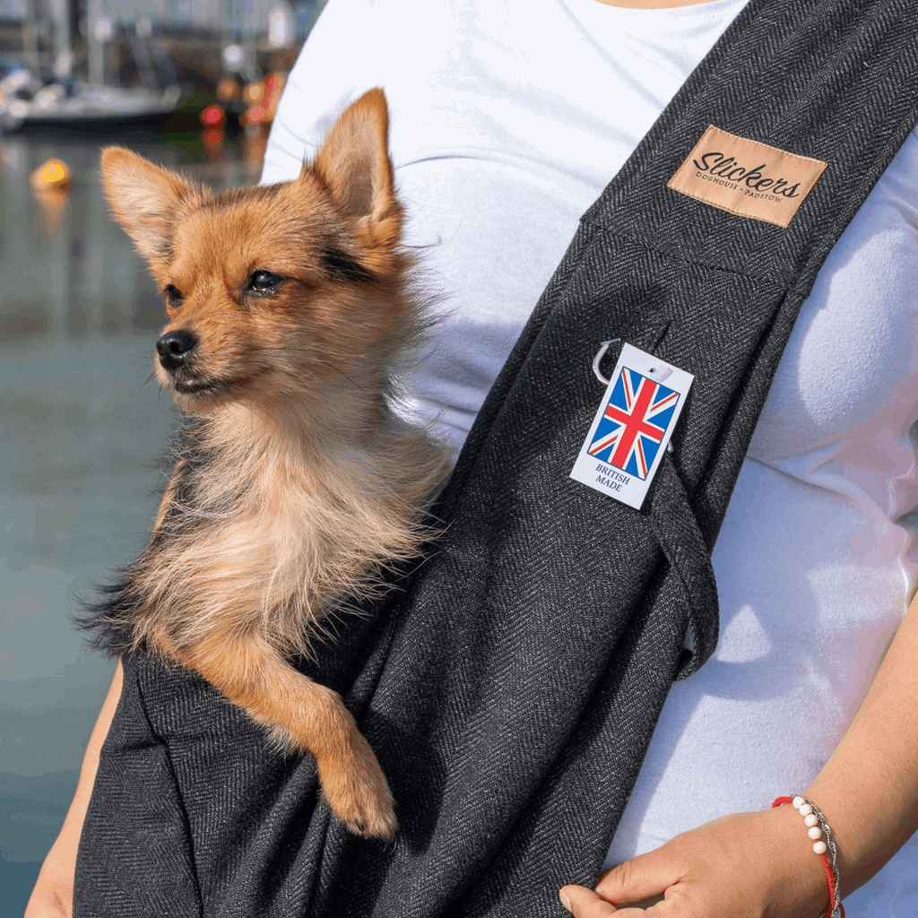 Black Tweed Dog Sling - Slickers ◊ Doghouse