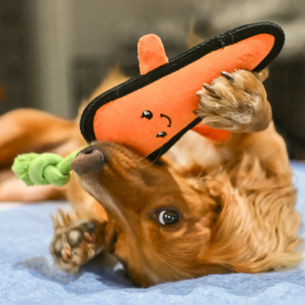 Plush Carrot Dog Toy - Slickers ◊ Doghouse