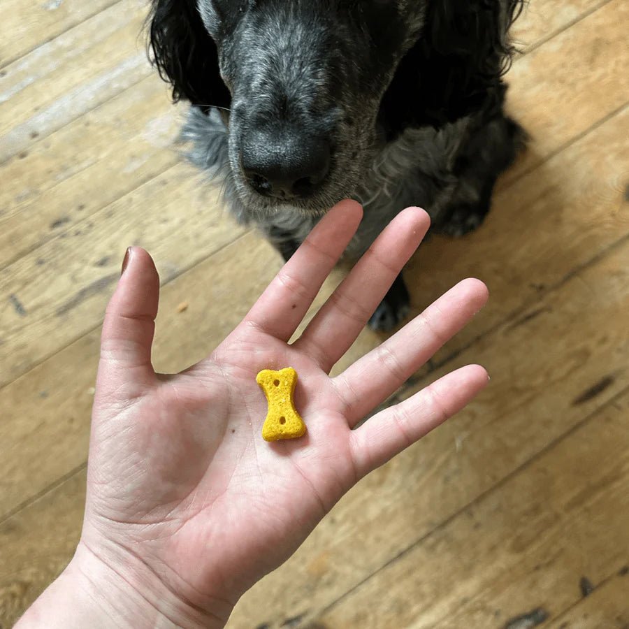 Cashew Dog Treats with Pumpkin Seed & Carrot - Slickers ◊ Doghouse