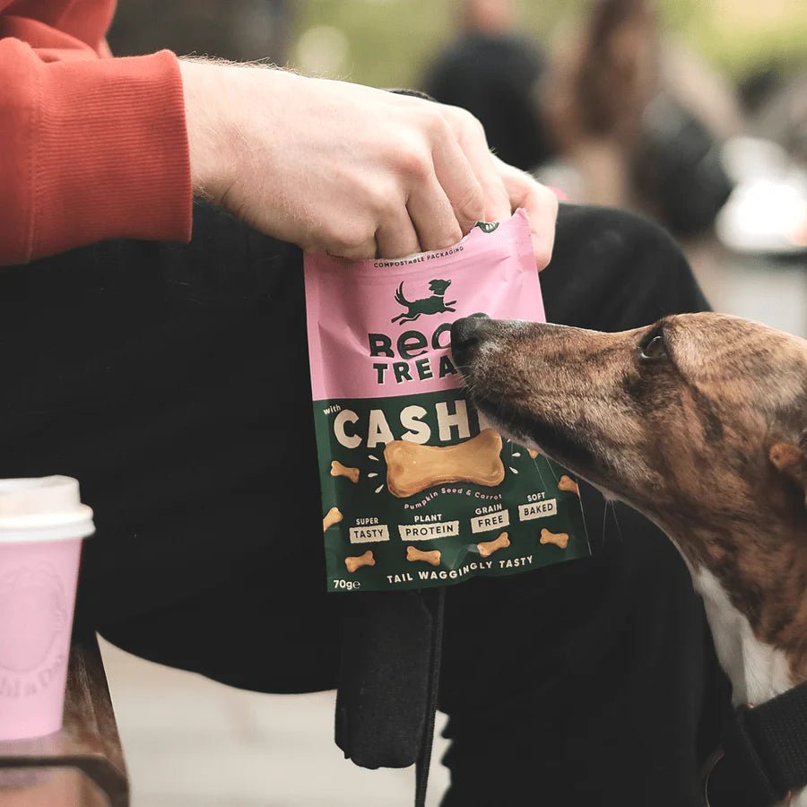 Cashew Dog Treats with Pumpkin Seed & Carrot - Slickers ◊ Doghouse