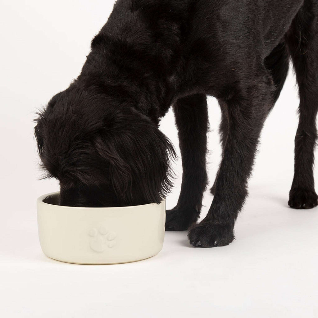 Ceramic Icon Dog Food Bowl - Slickers ◊ Doghouse