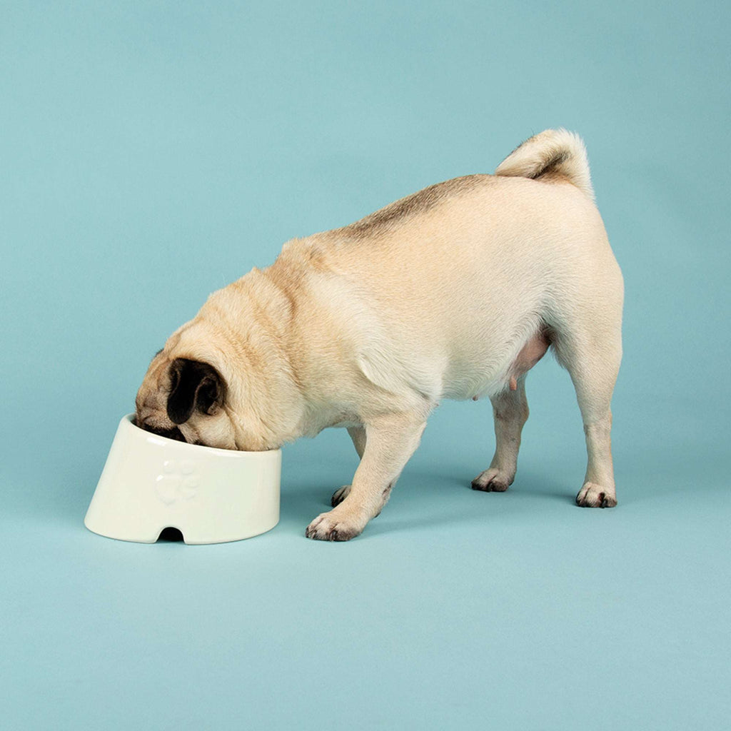 Ceramic Icon Flat Faced Dog Bowl - Slickers ◊ Doghouse