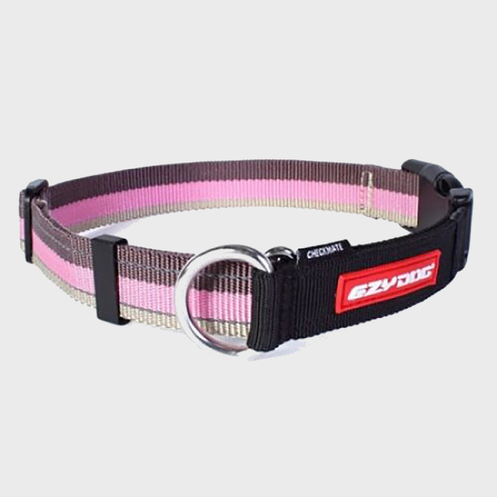 Checkmate Collar - Slickers ◊ Doghouse