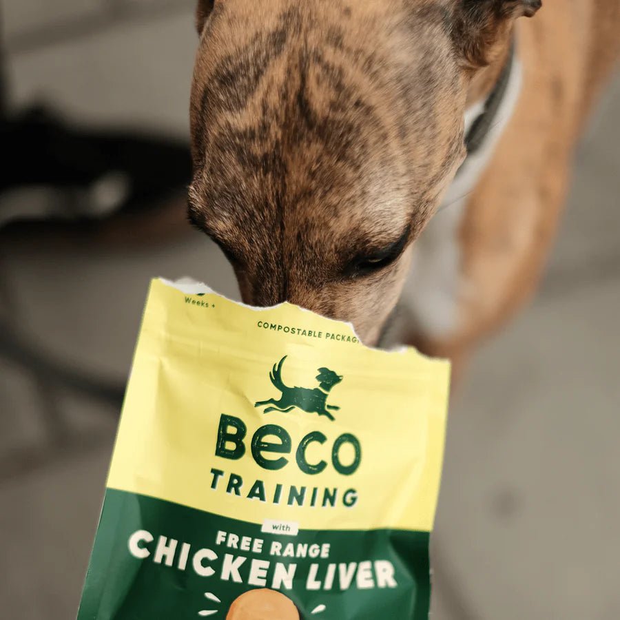 Chicken Liver Dog Treats with Parsnip & Honey - Slickers ◊ Doghouse