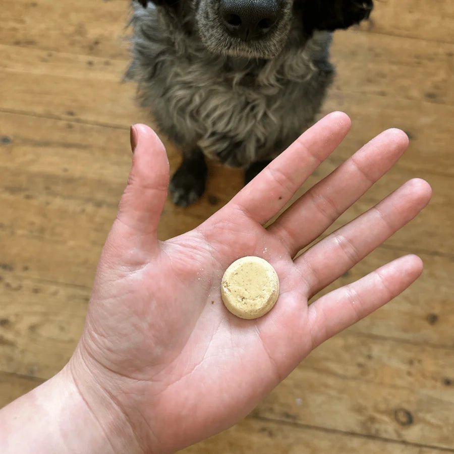 Chicken Liver Dog Treats with Parsnip & Honey - Slickers ◊ Doghouse