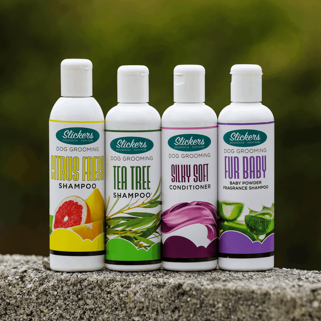 Citrus Fresh Shampoo 250ml - Slickers ◊ Doghouse