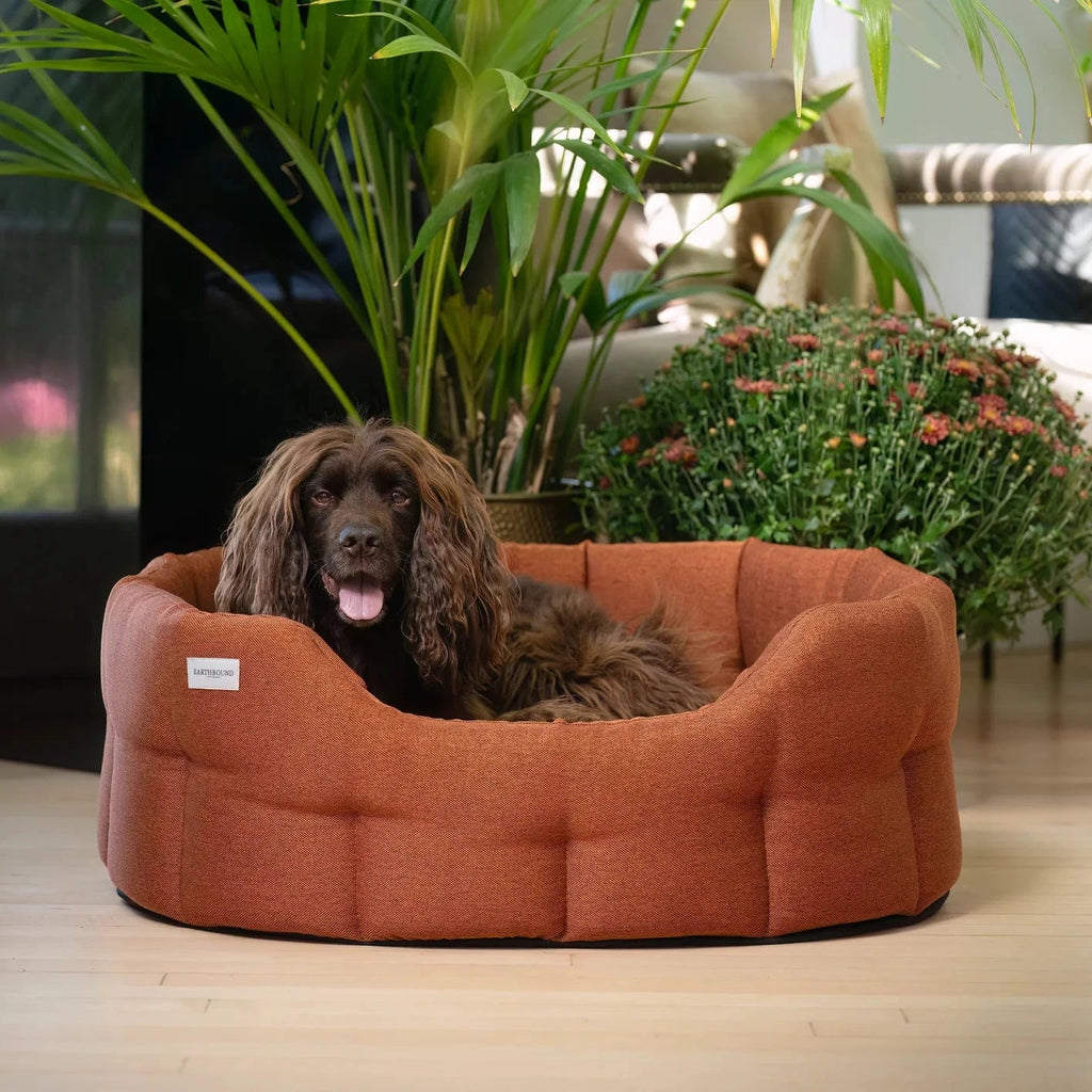 Classic Camden Bed Burnt Orange - Slickers ◊ Doghouse