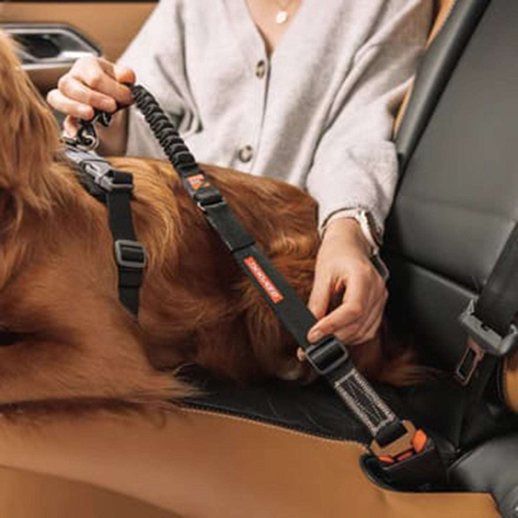 Click Dog Seat Belt Attachment with Drive Click Lead - Slickers ◊ Doghouse