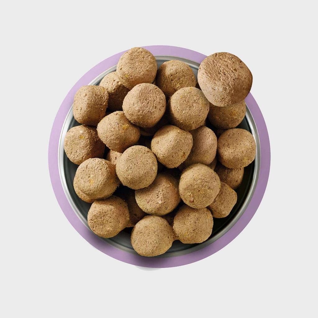 COMPLETE RAW FREEZE DRIED FOOD 80/20 TURKEY - Slickers ◊ Doghouse