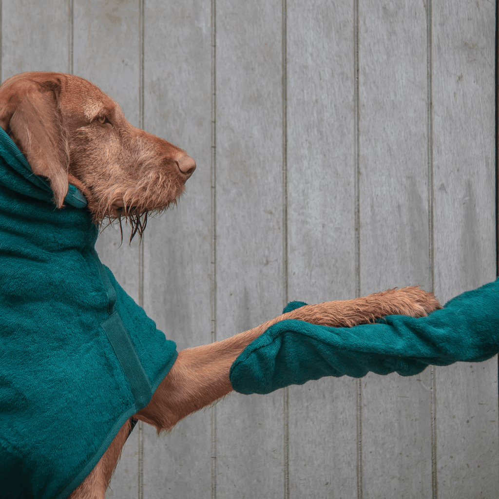 Cotton Towelling Drying Mitts - Slickers ◊ Doghouse