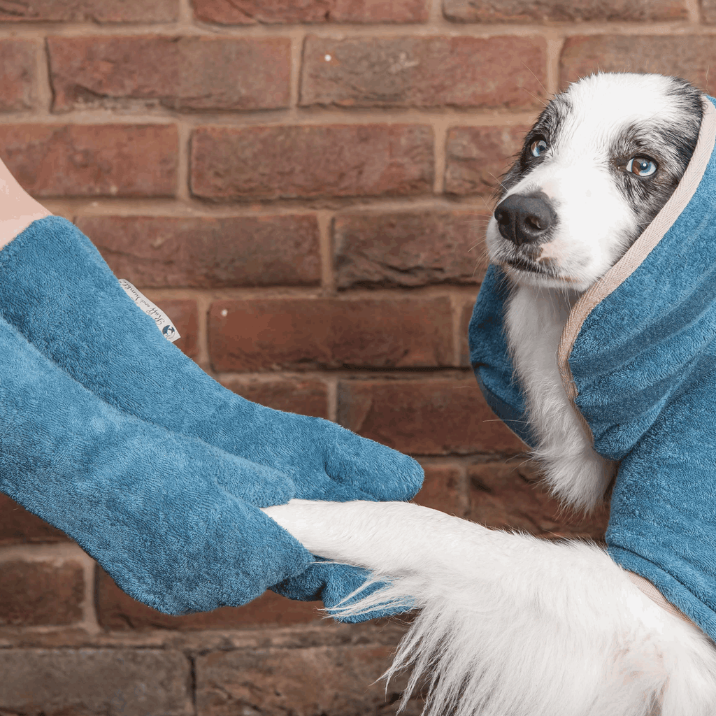 Cotton Towelling Drying Mitts - Slickers ◊ Doghouse