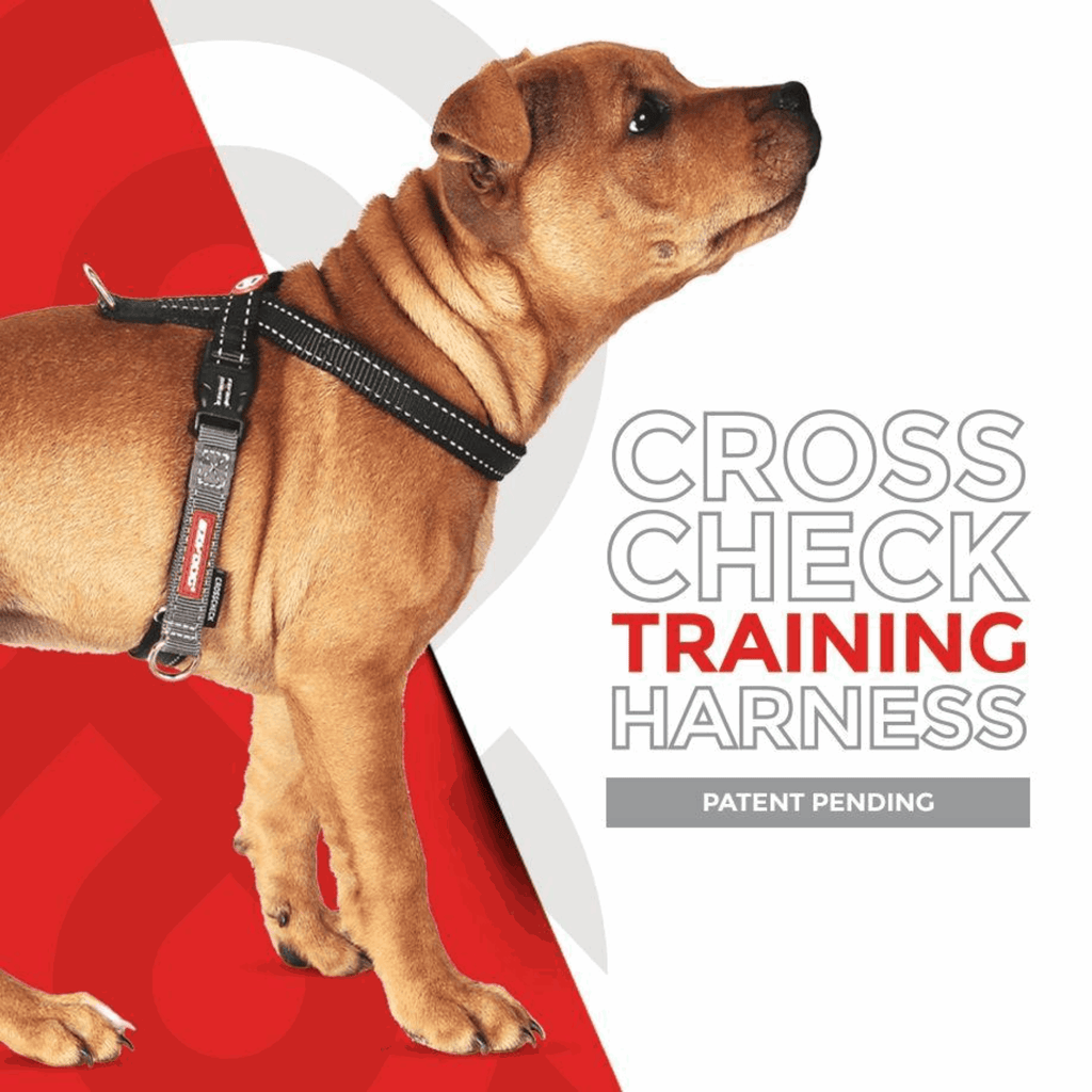 Cross Check Training Harness - Slickers ◊ Doghouse