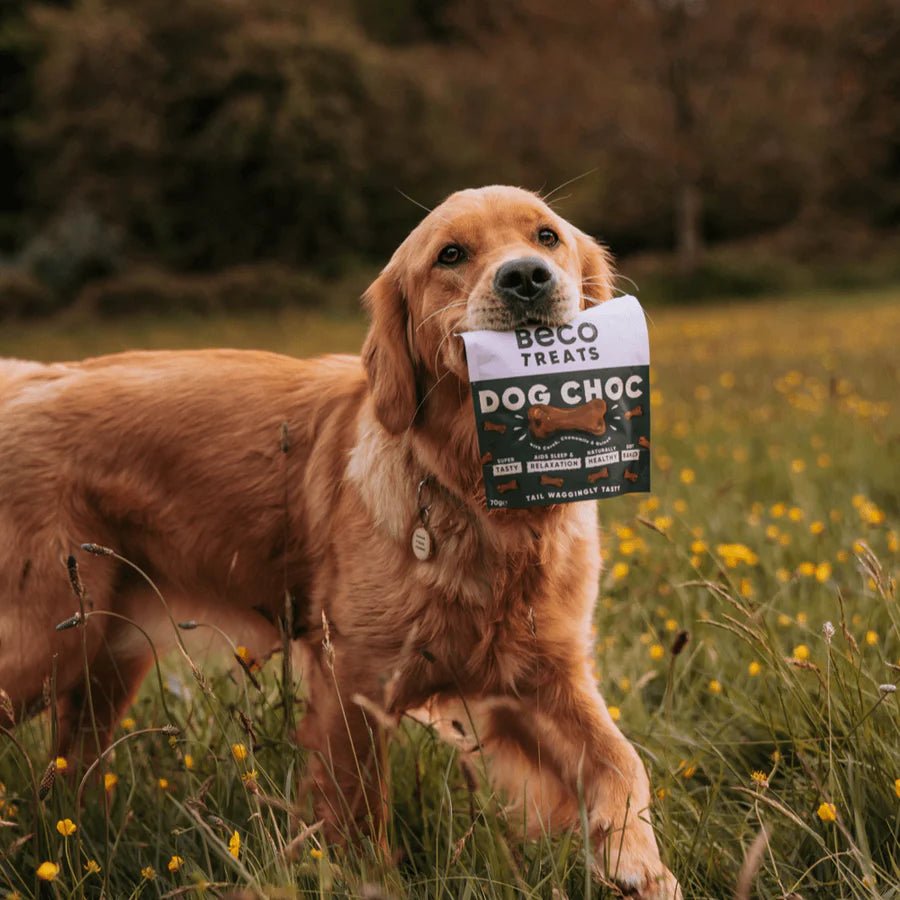 Dog Choc Treats with Carob, Chamomile & Quinoa - Slickers ◊ Doghouse