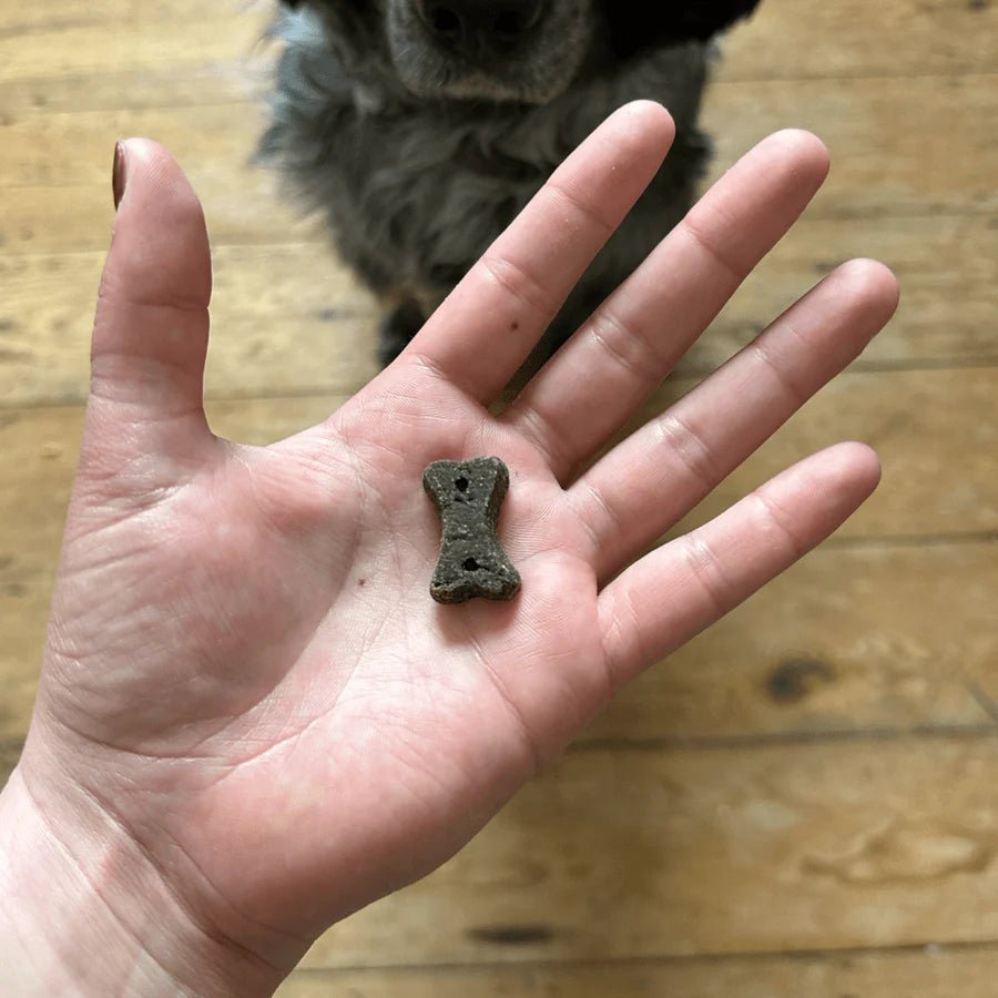 Dog Choc Treats with Carob, Chamomile & Quinoa - Slickers ◊ Doghouse