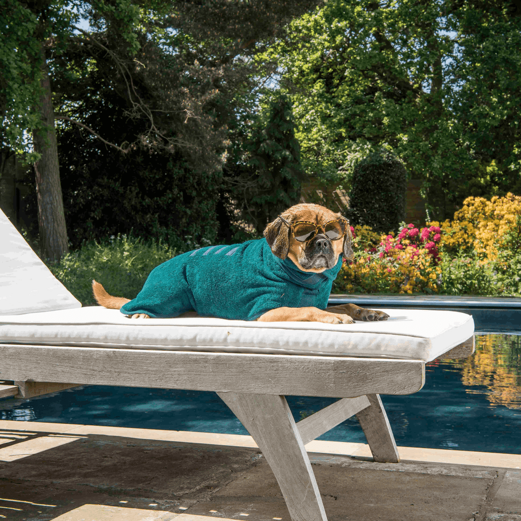 Dog Drying Coat - Classic Collection - Slickers ◊ Doghouse