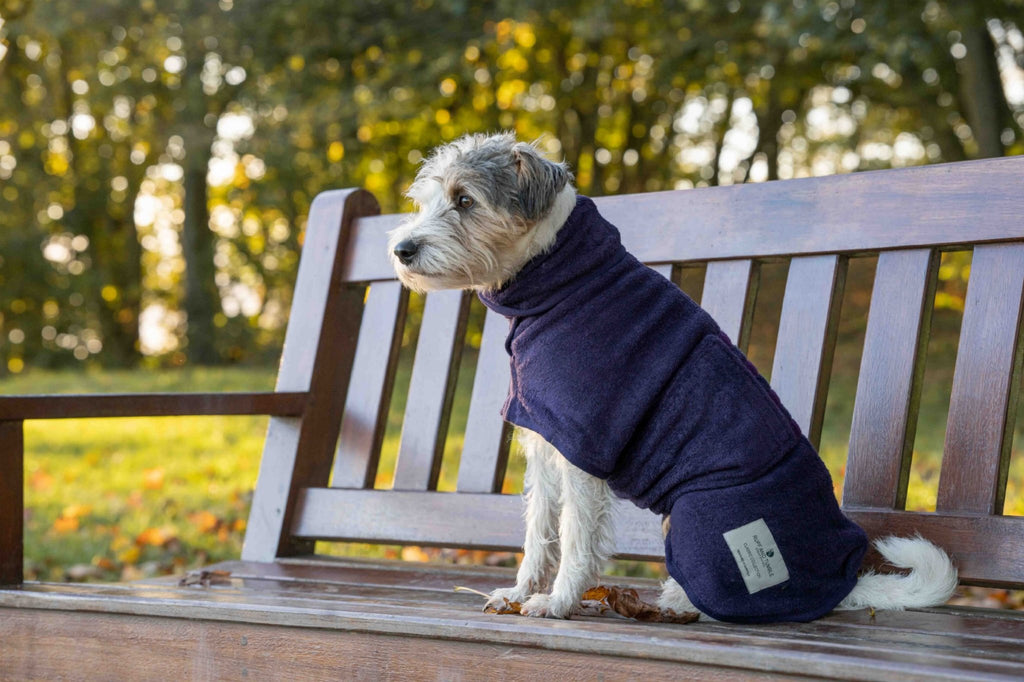 Dog Drying Coat - Classic Collection - Slickers ◊ Doghouse