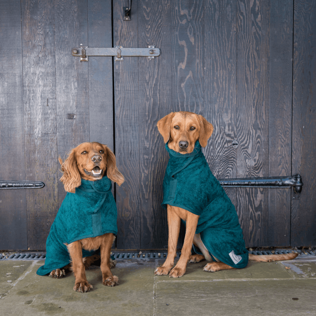 Dog Drying Coat - Classic Collection - Slickers ◊ Doghouse