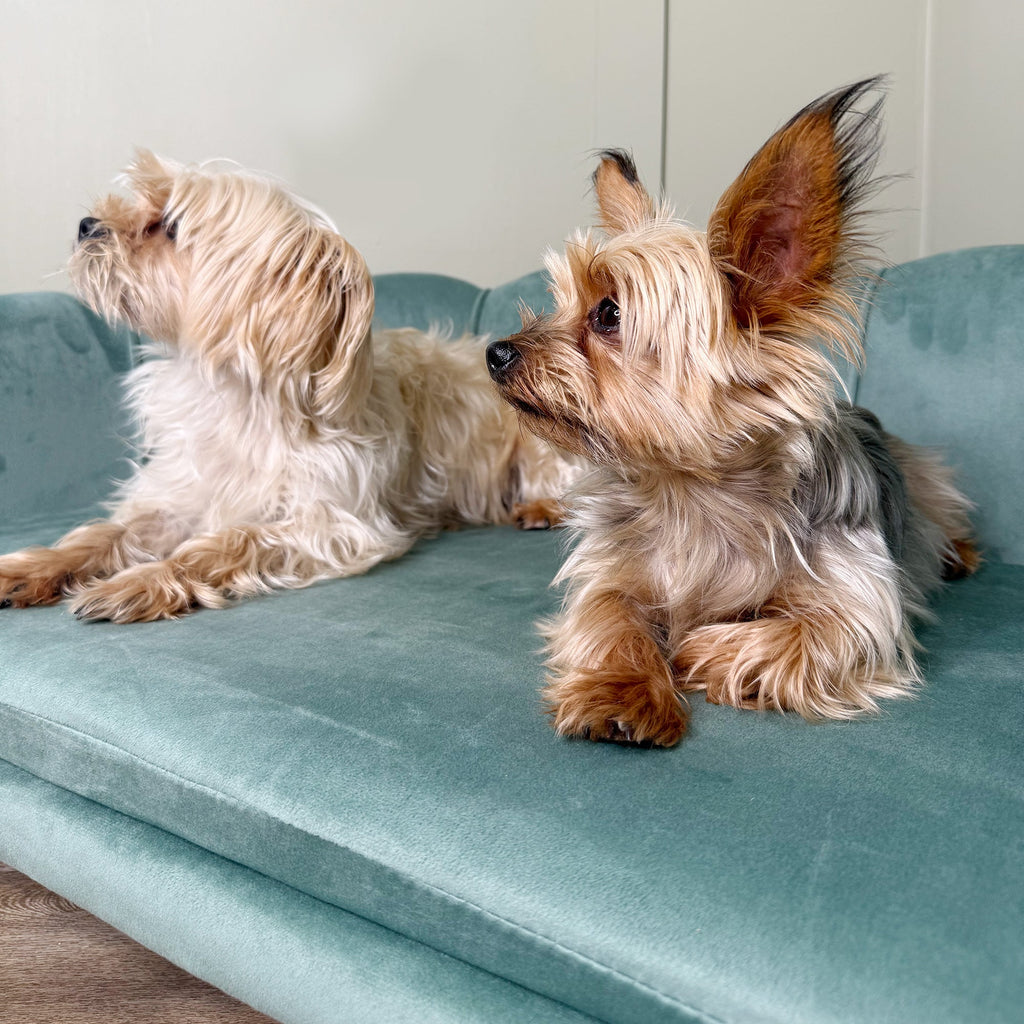 Dog Sofa Bed for Medium - Large Dogs in Green - Slickers ◊ Doghouse