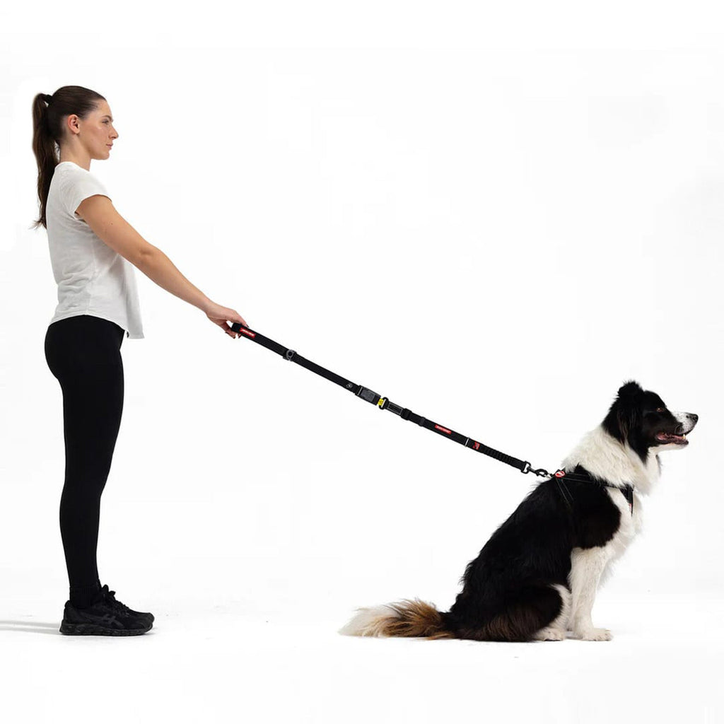 Drive Click Lead Handle - Slickers ◊ Doghouse