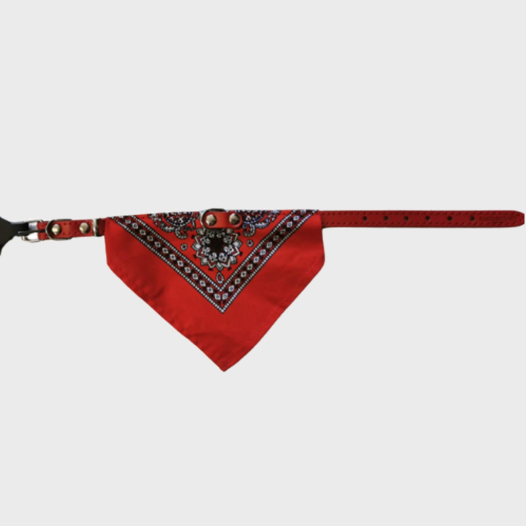 Bandana Collar - Slickers ‚óä Doghouse