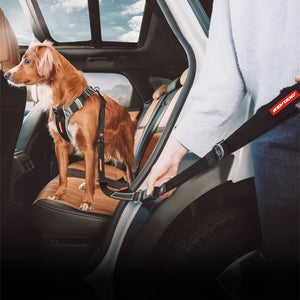 Click Dog Seat Belt Attachment with Drive Click Lead - Slickers ‚óä Doghouse